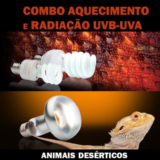 Lampada uvb dragao barbado