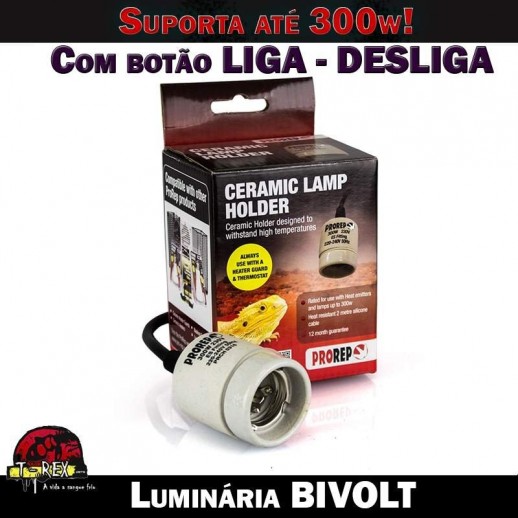 suporte lâmpada dragao barbado
